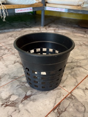 PLASTIC CONTAINER 6" ORCHID