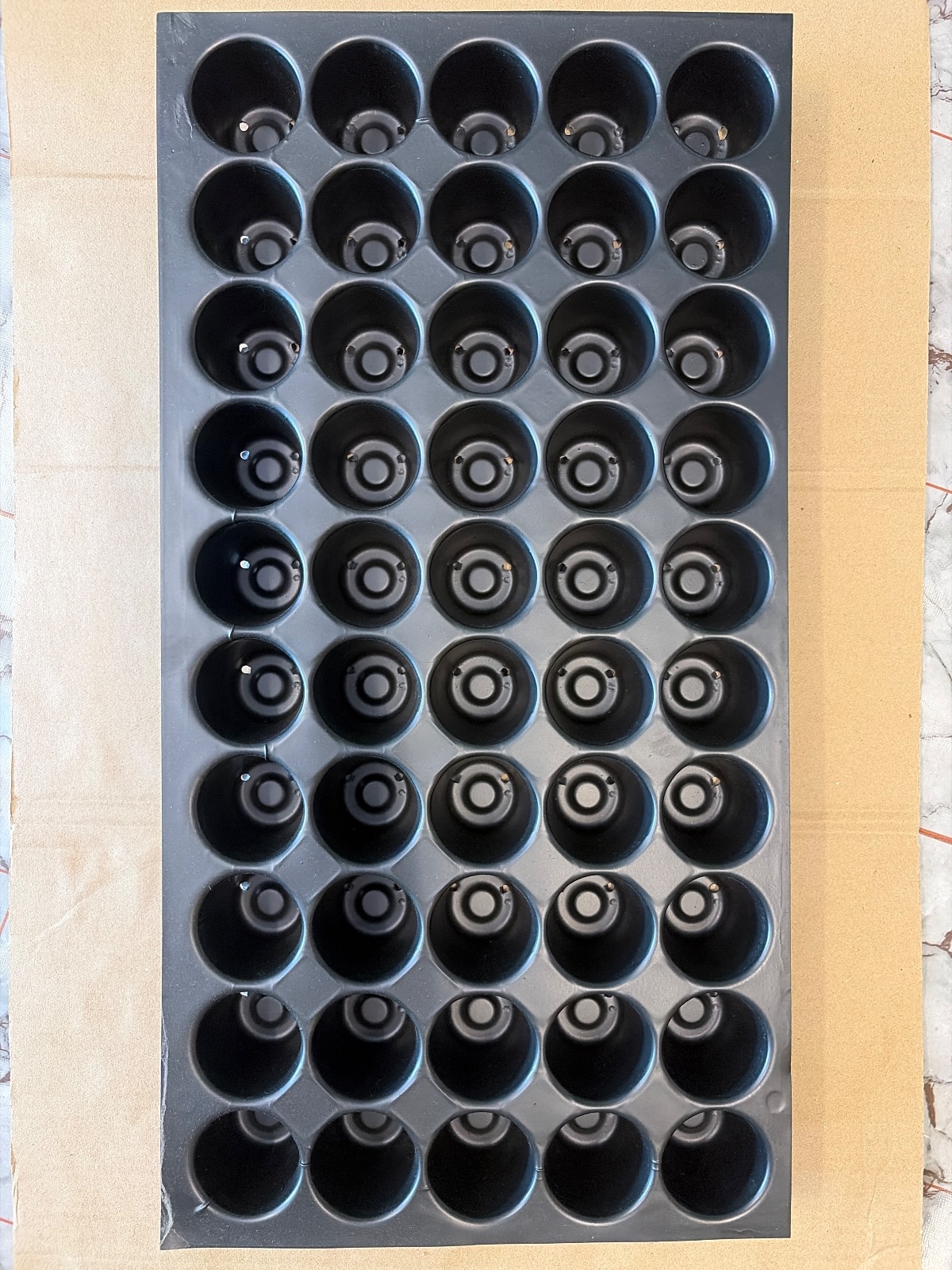 SEED TRAY BIG