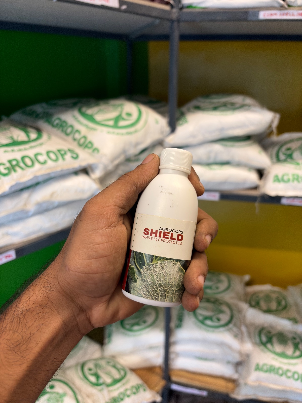 SHIELD WHITE FLY PROTECTOR 100