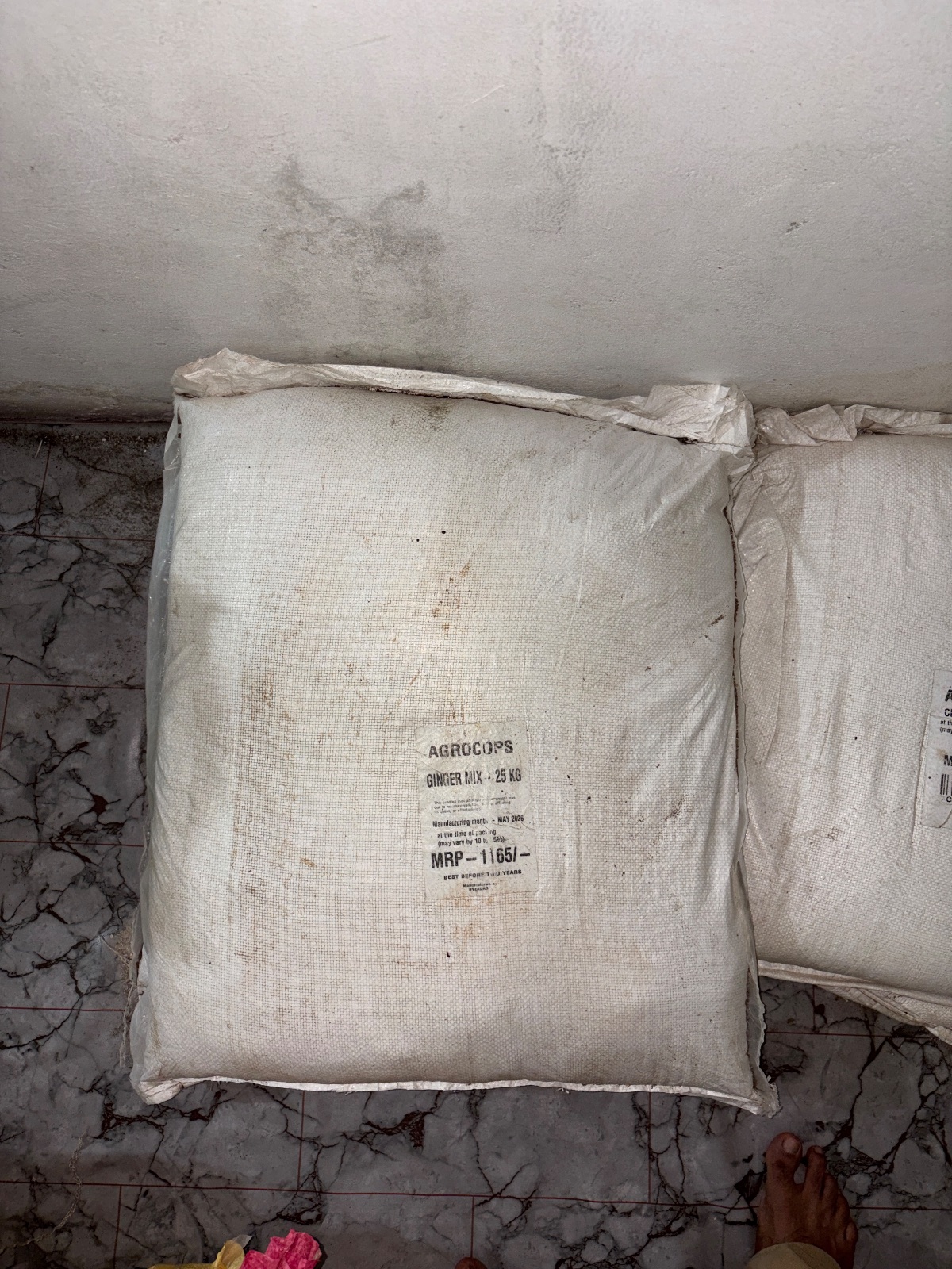 GINGER MIX - 25 KG (GRM-25)