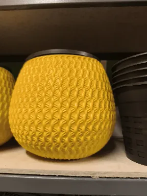 Moon Pot