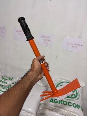 GARDEN HOE 3 PRONG