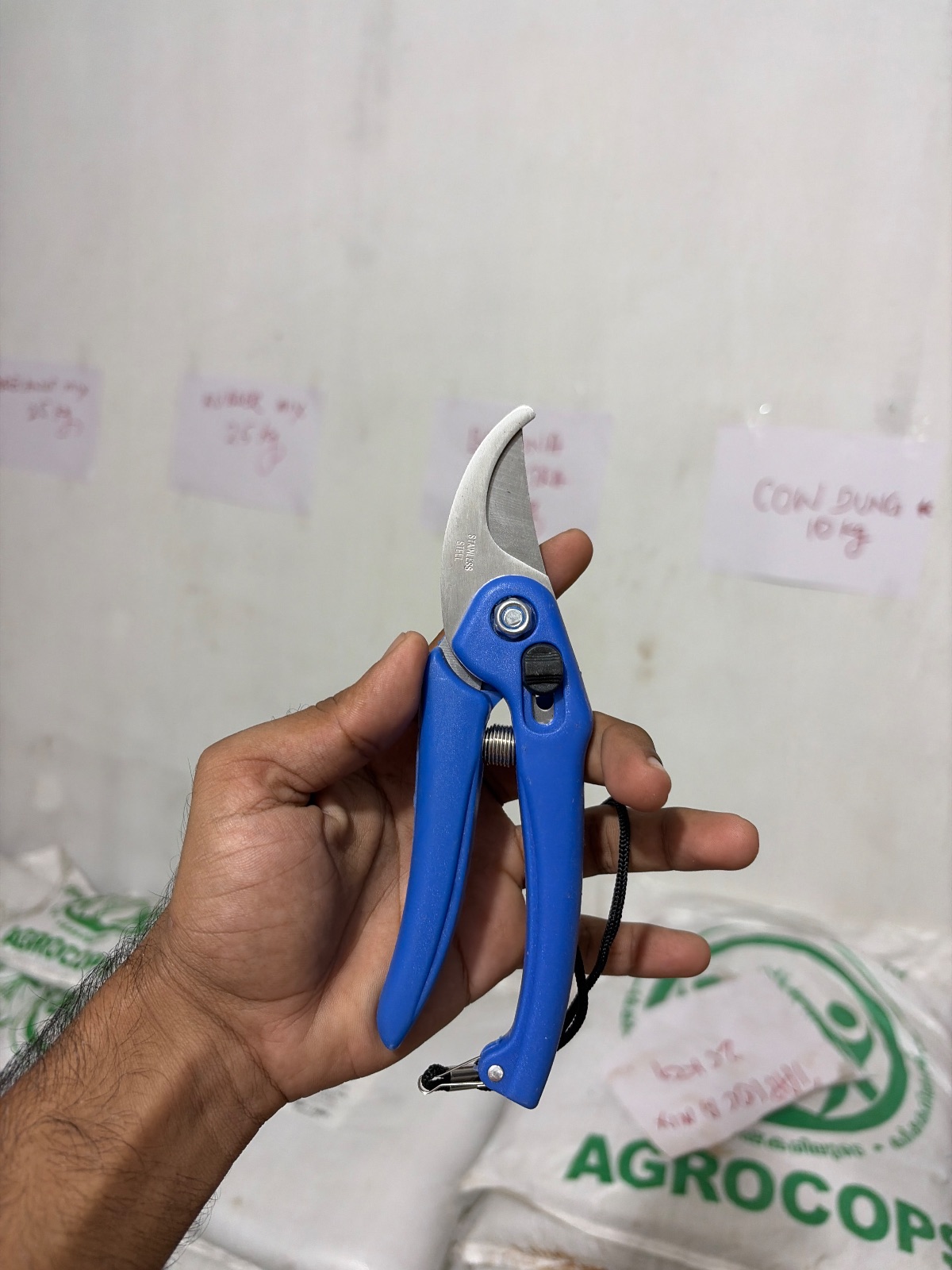 CHINESE CUTTER