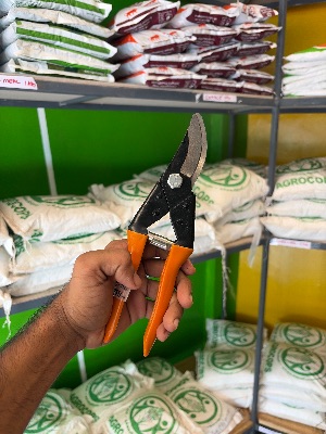 FALCON TYPE PRUNING SECATEUR