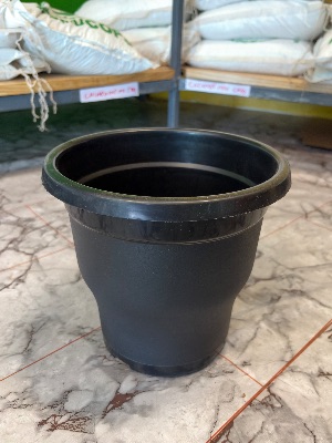STAR 7 BLACK